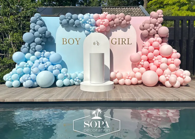 BOY OR GIRL