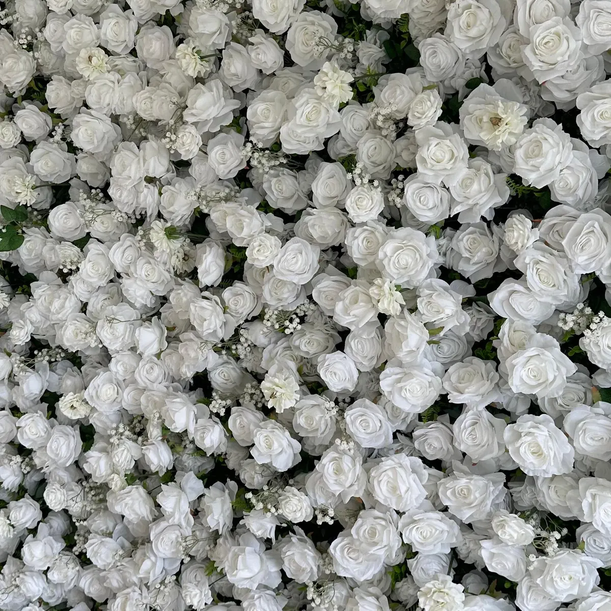 Flowerwall Snow White, foto 2