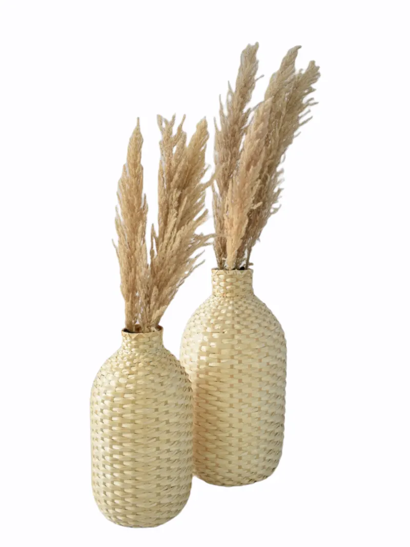 Pampa's in rieten pot