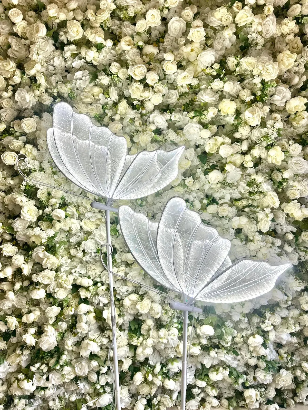 Verlichte vlinders, foto 1